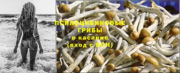 первитин Каменногорск