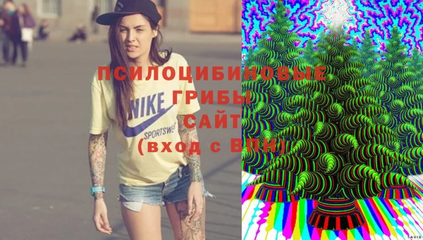 первитин Каменногорск
