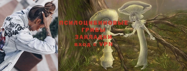первитин Каменногорск