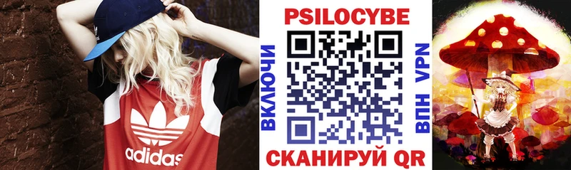 сколько стоит  Сергач  Галлюциногенные грибы прущие грибы 